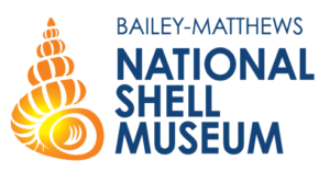 National Shell Museum Logo