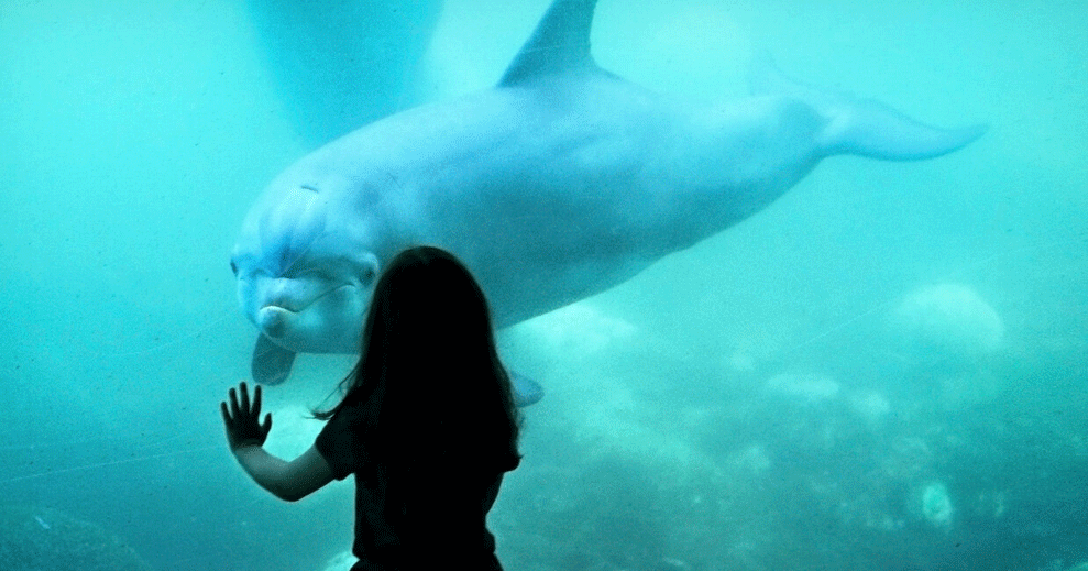What “Empty the Tanks” and “Anti-Vaxxer” movements have in common and what zoos and aquariums can learn from the latter