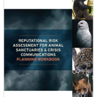 Risk Management Workbook Thumbnail