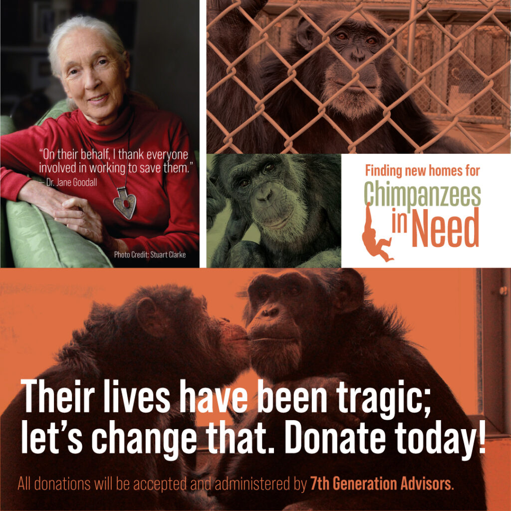 Jane Goodall Endorsement Fb 1080X1080