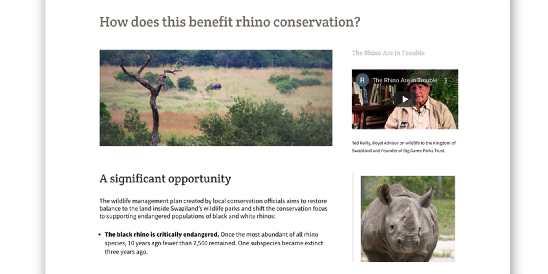 Room For Rhinos Website Page