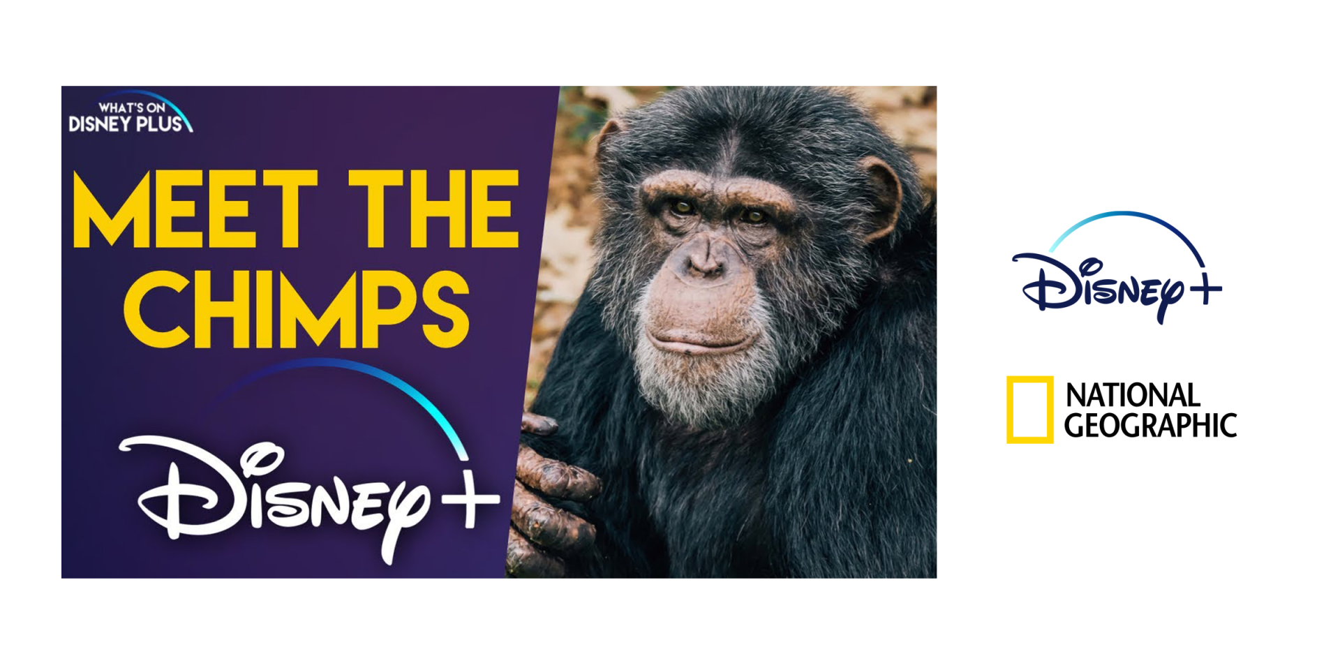 Chimp Haven Docu Series